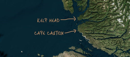 Crossing Cape Caution - www.cdedwards.com