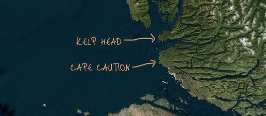 Crossing Cape Caution - www.cdedwards.com