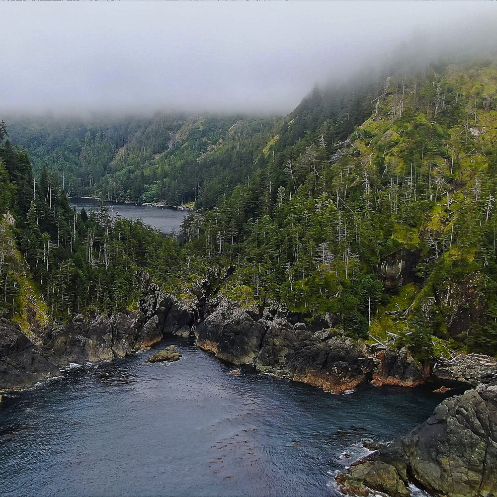 Misty forested landscape in Haida Gwaii British Columbia, with a river flowing through rocky terrain out to the ocean