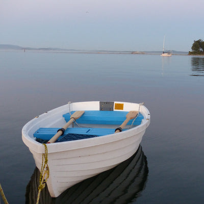White rowboat with blue interior on calm water off Vancouver Island