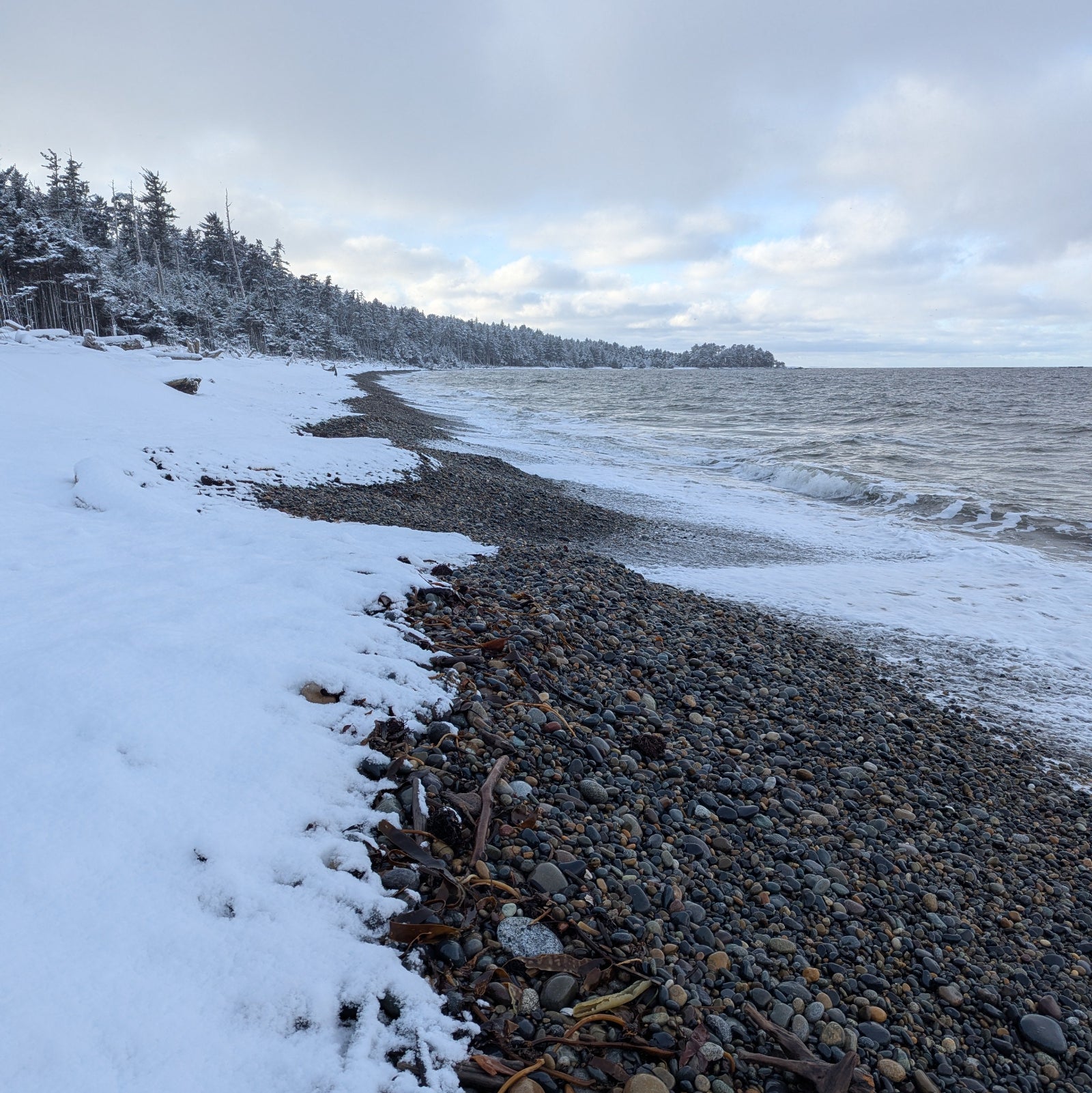 Snow-covered beach with rocky shoreline and trees in the background