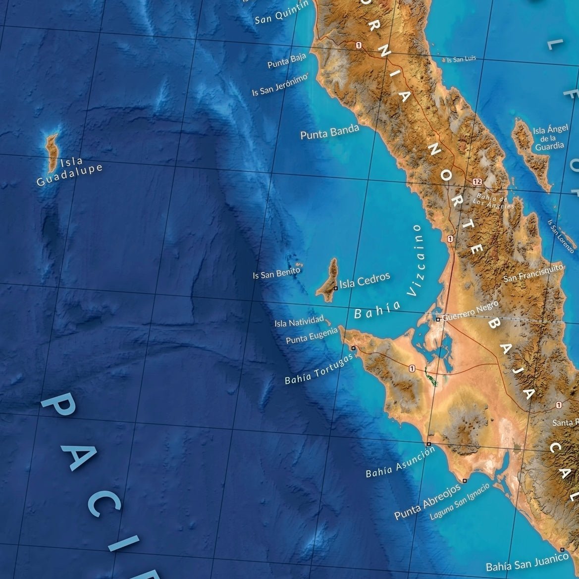 Zoomed in to the central area of the Baja peninsula. Highlighting the detail of the offshore bathymetry.